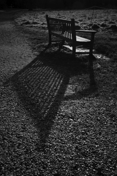 Black and white image of an empty wooden park bench casting a long, textured shadow across a gravel path and grassy ground.
