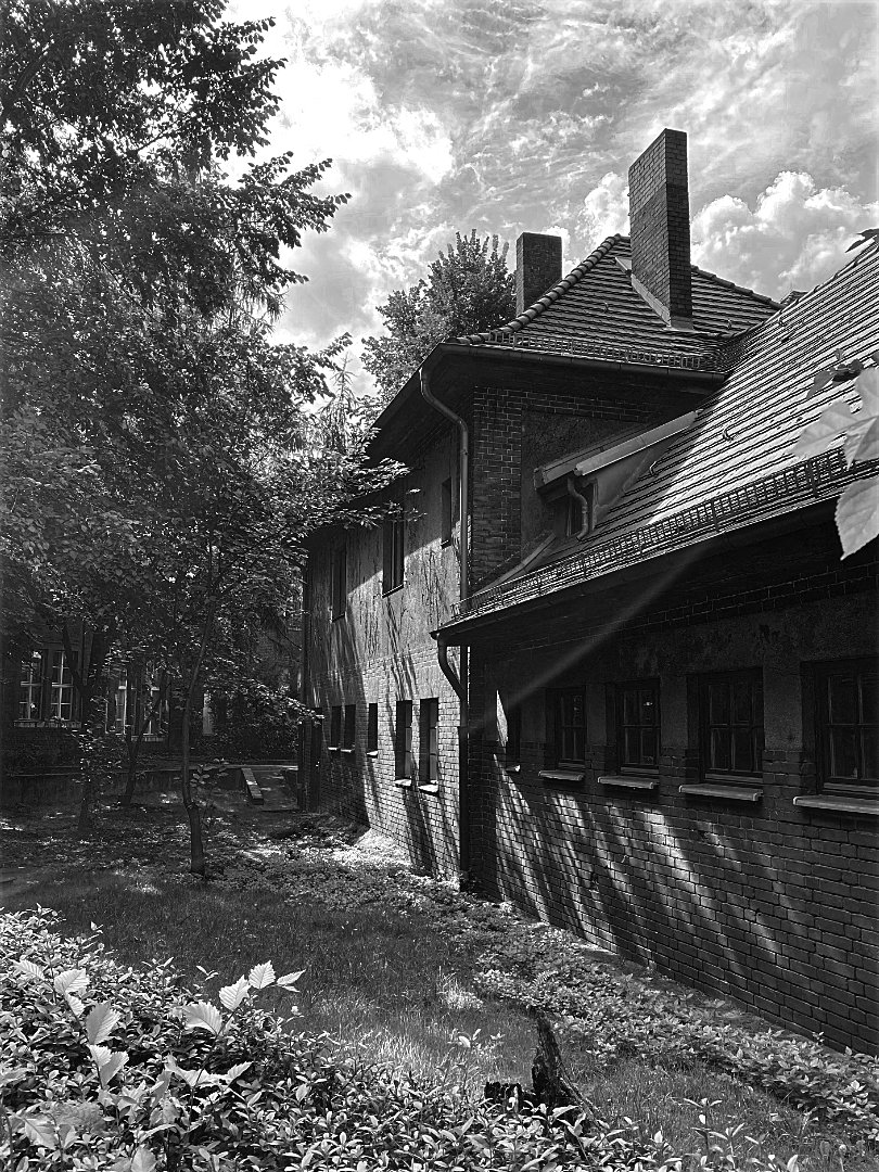 Black and white photo of an old brick building with a tiled roof and chimneys, partially obscured by lush trees and overgrown bushes. Strong sunlight casts dramatic shadows across the brick facade, highlighting the texture of the building and the surrounding foliage under a cloudy sky.