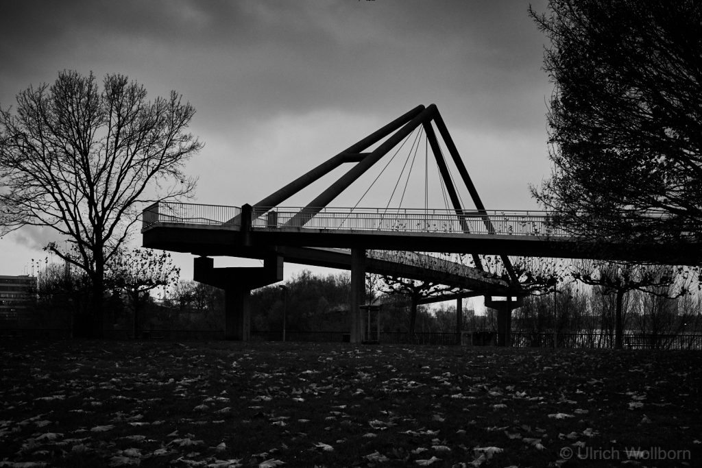 Black and white photo of a modern pedestrian bridge with triangular support beams, surrounded by leafless trees and fallen leaves on the ground under a cloudy sky.