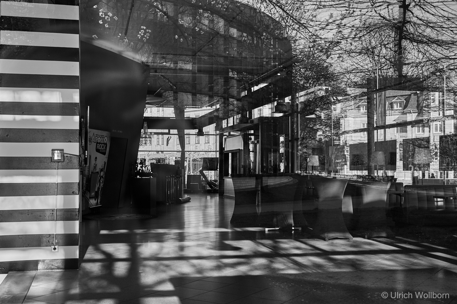 Monochrome reflections of urban trees and architecture on expansive glass surfaces inside a modern building, creating an abstract interplay of light and shadow.